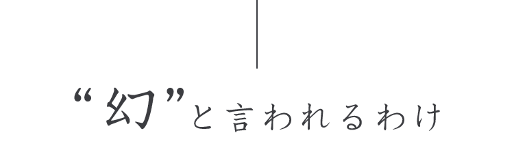 幻と言われるわけ