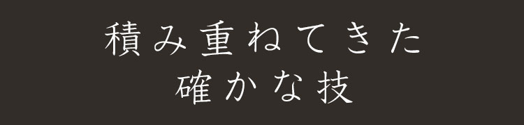 積み重ねてきた確かな技