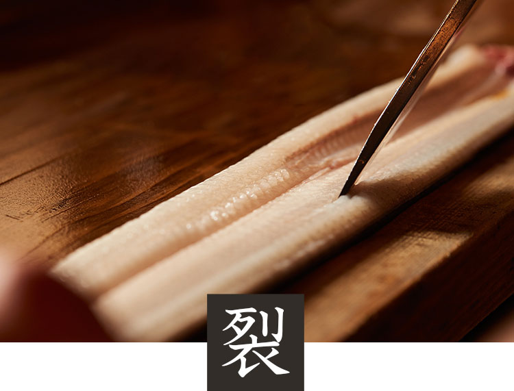 裂き