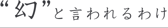 幻と言われるわけ